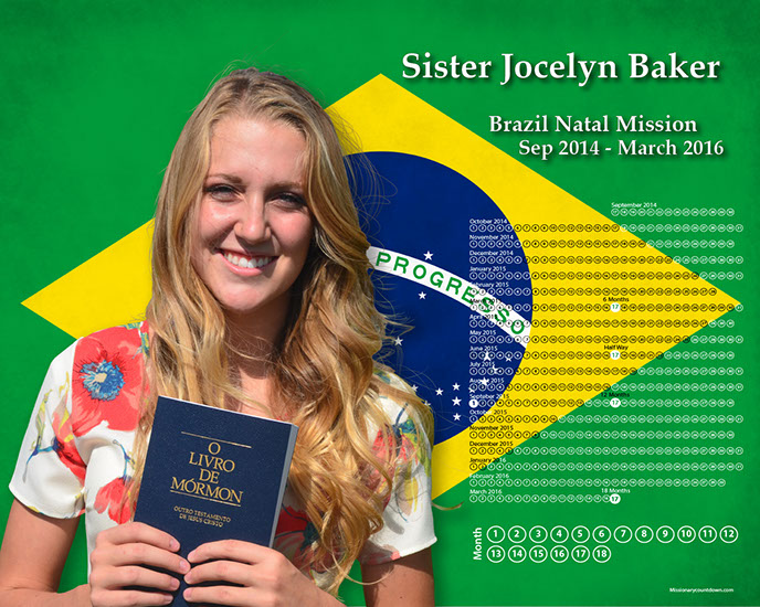 LDS Missions; LDS Missionary Poster; Missionary Mall